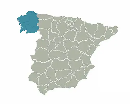Nuestro distribuidor Dental Regueiro en Coruña Galicia Nuestro distribuidor Dental Regueiro en Coruña Galicia